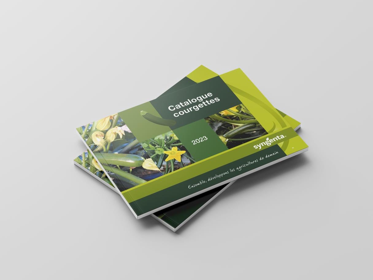 Mockup Courgette