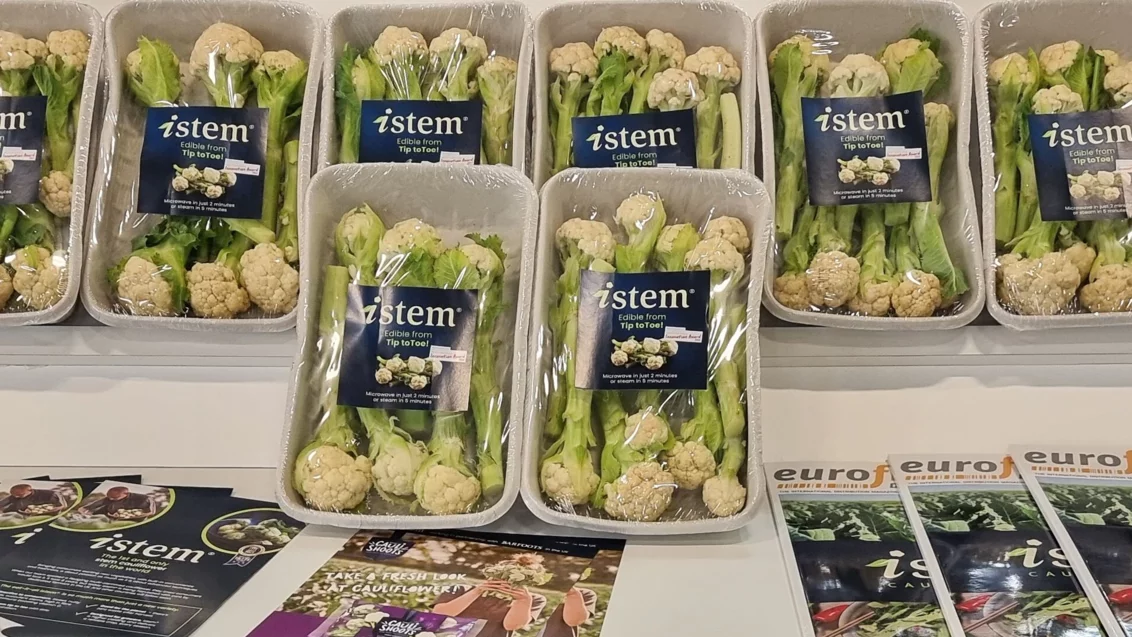 Капуста Istem