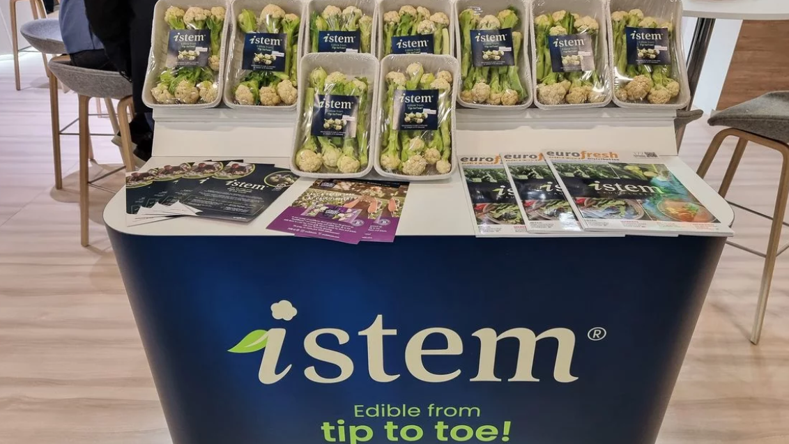 Капуста Istem