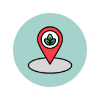 pin lettuce icon