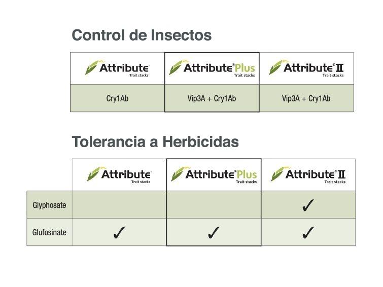 Attribute image