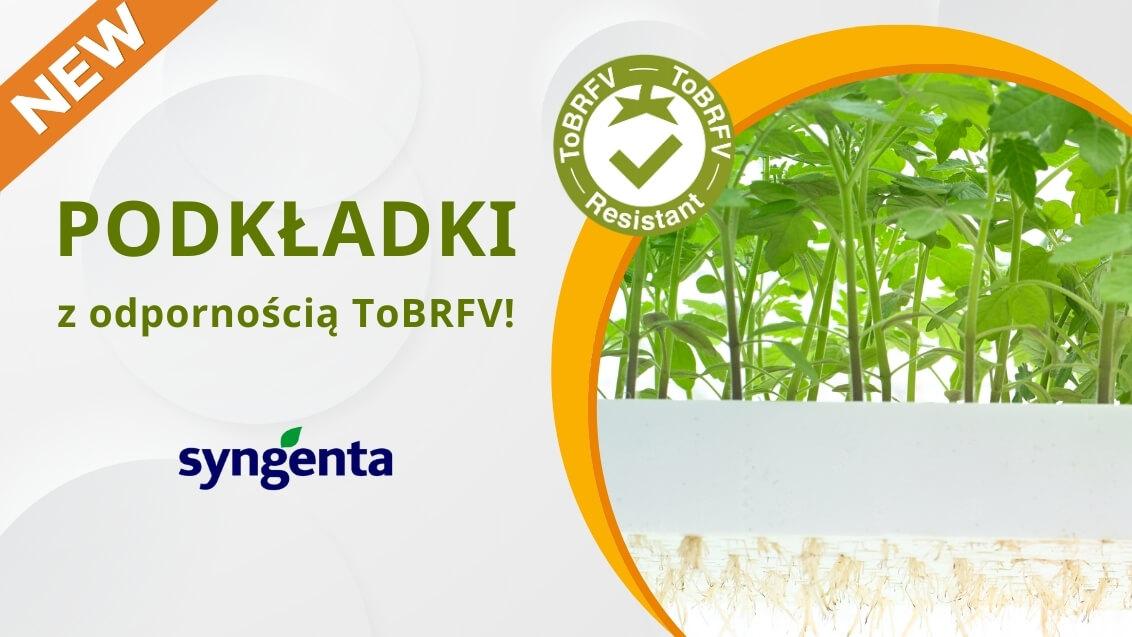 Nowe podkładki z odpornością ToBRFV​