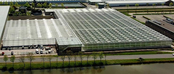 Elkészült a Syngenta modern paradicsom-bemutatóközpontja Hollandiában