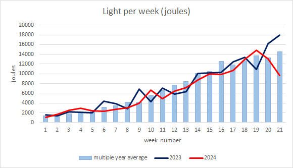 Pepper Light per Week