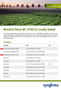 New Race Bl:41 in Leafy Salad