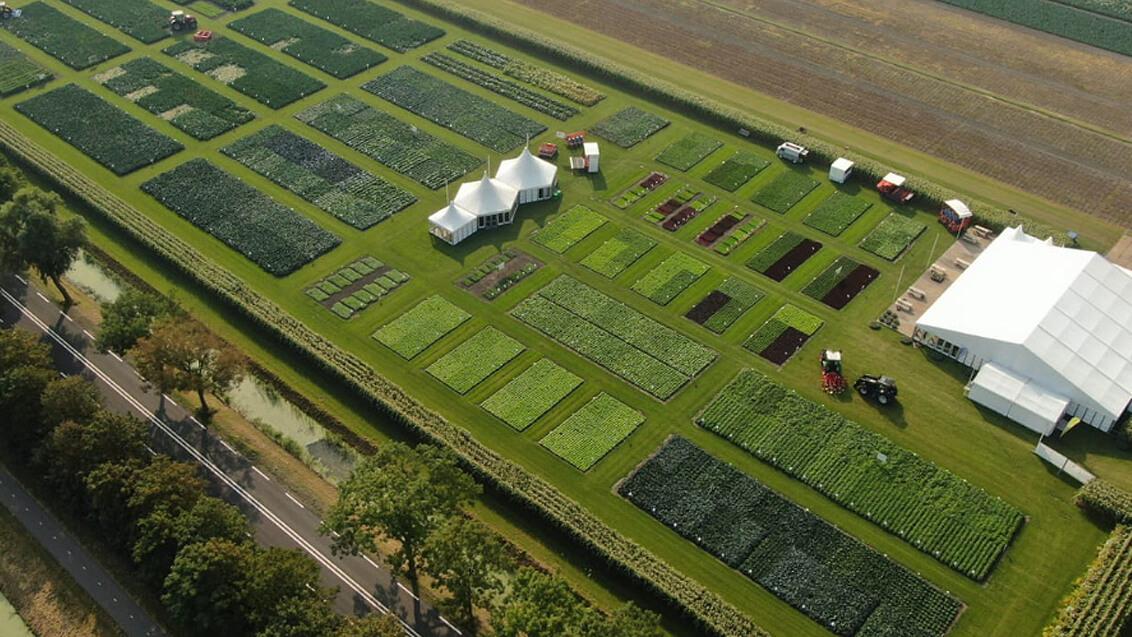 Fields of Innovation 2024