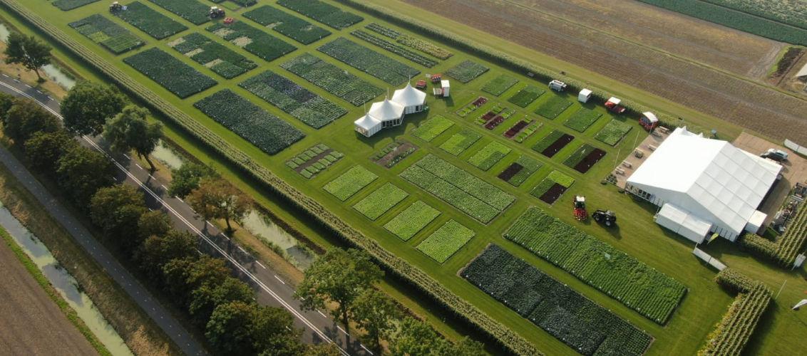 Fields of Innovation 2024 - pola