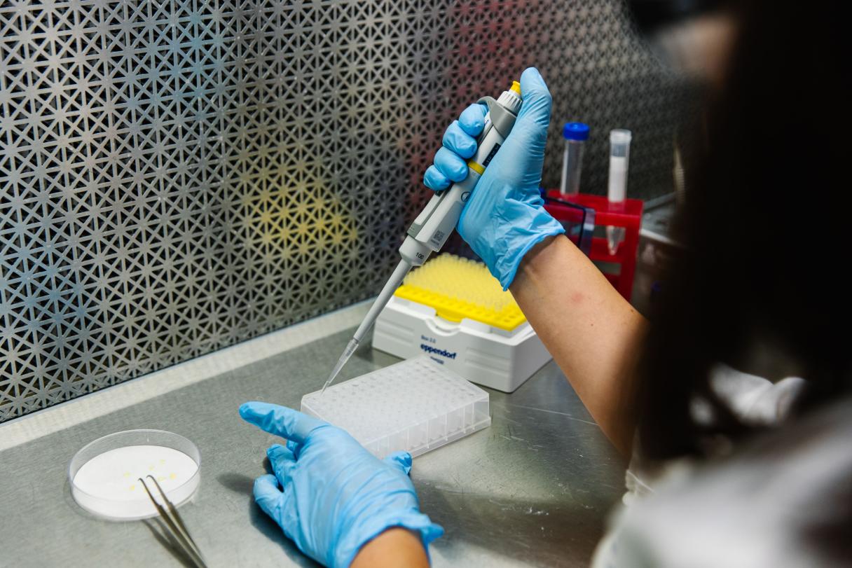 Jodi Avila, Trait Delivery Innovation Scientist, at work