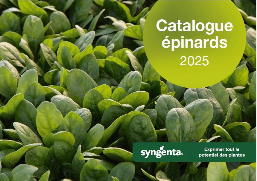 catalogue épinards