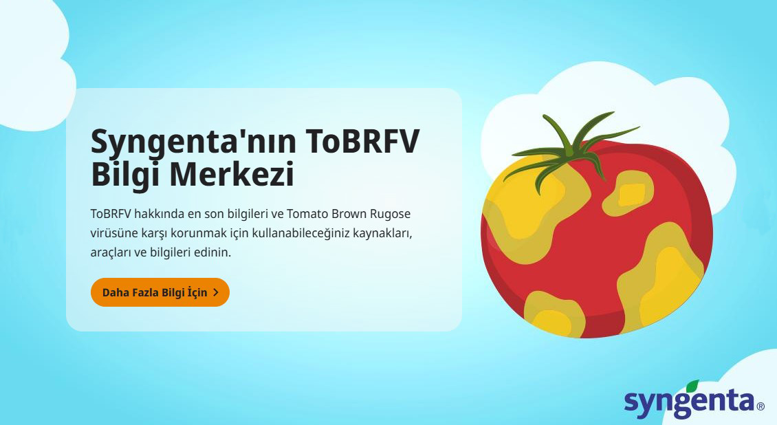 tobrfvbilgi