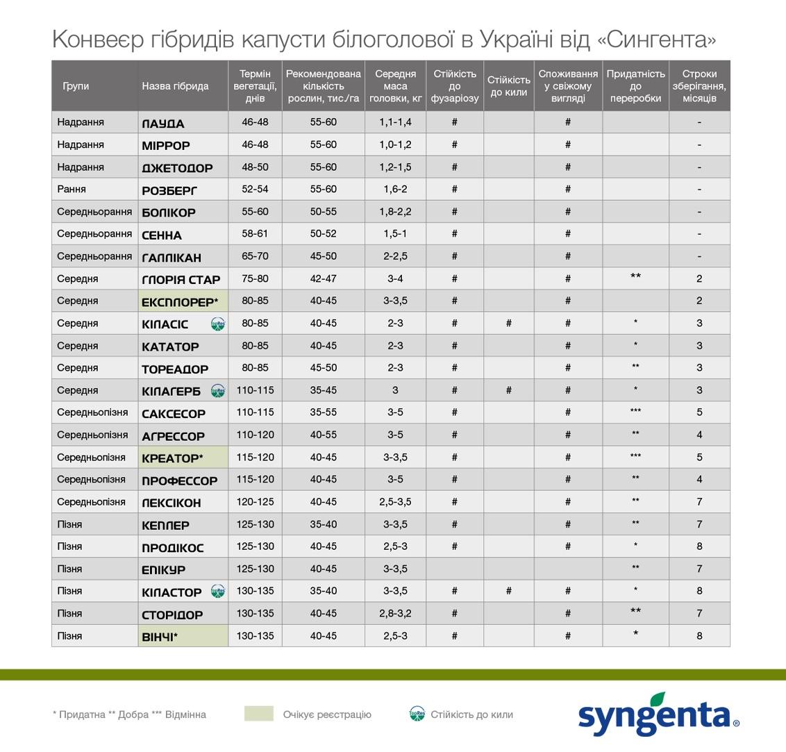 Конвеєр гібридів капусти білоголової