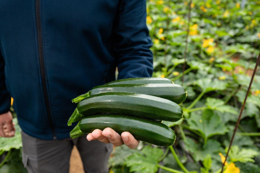 courgette