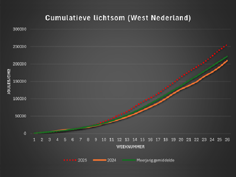 lichtsom_755x566