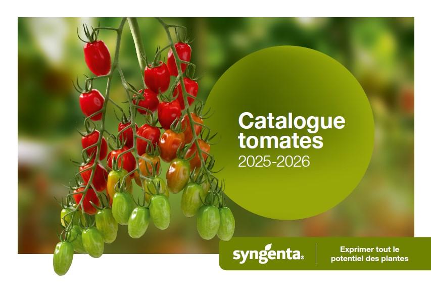 catalogue tomates 2025-2026