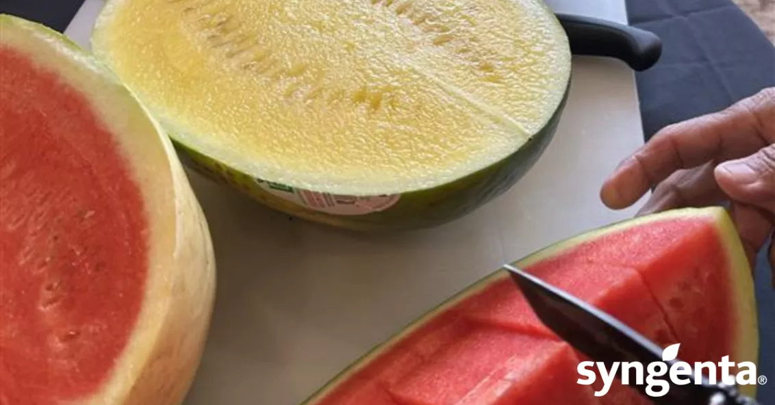 watermelon New
