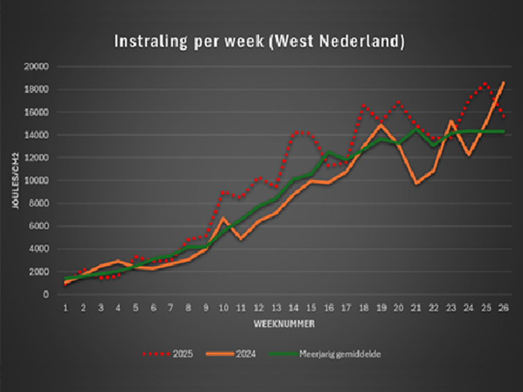 instraling_per_week_1.png