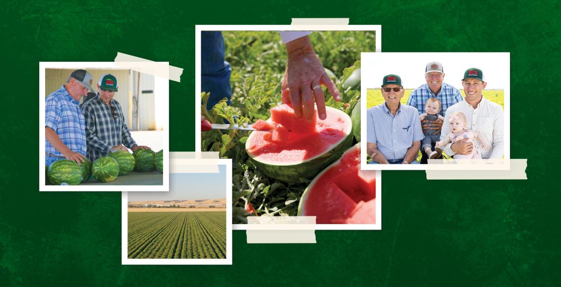 collage of watermelon growing images