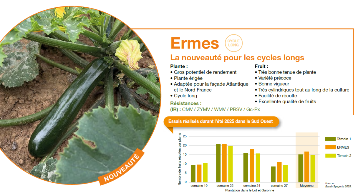 ermes