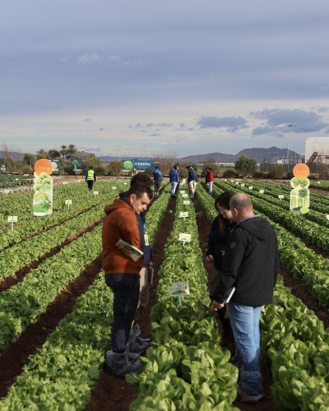 Salads Demo Days 2026