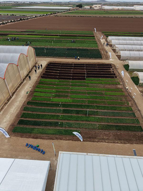 Salads Demo Days 2026