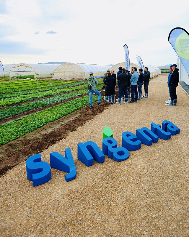 Salads Demo Days 2026