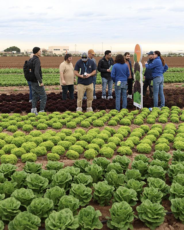 Salads Demo Days 2026