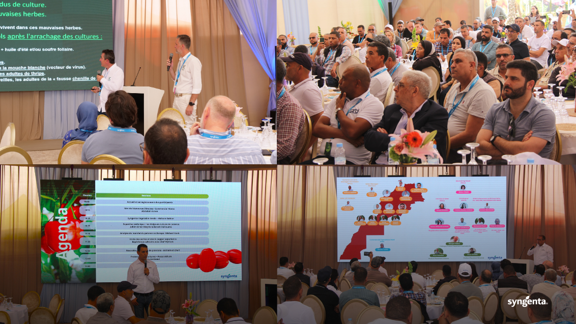 pepper innovation day