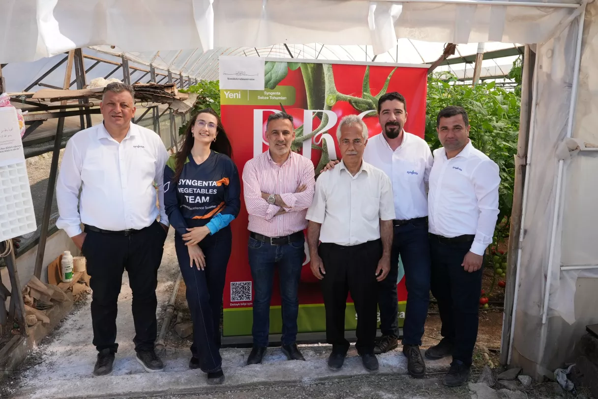 Promarsa ile Erken Bahar Tane (Beef) Domates Segmentinde Güçlü Performans