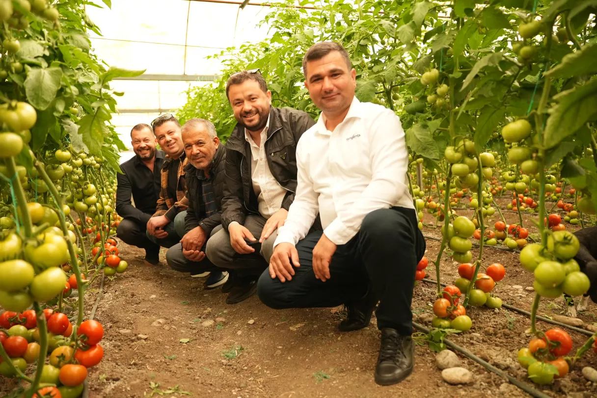Promarsa ile Erken Bahar Tane (Beef) Domates Segmentinde Güçlü Performans