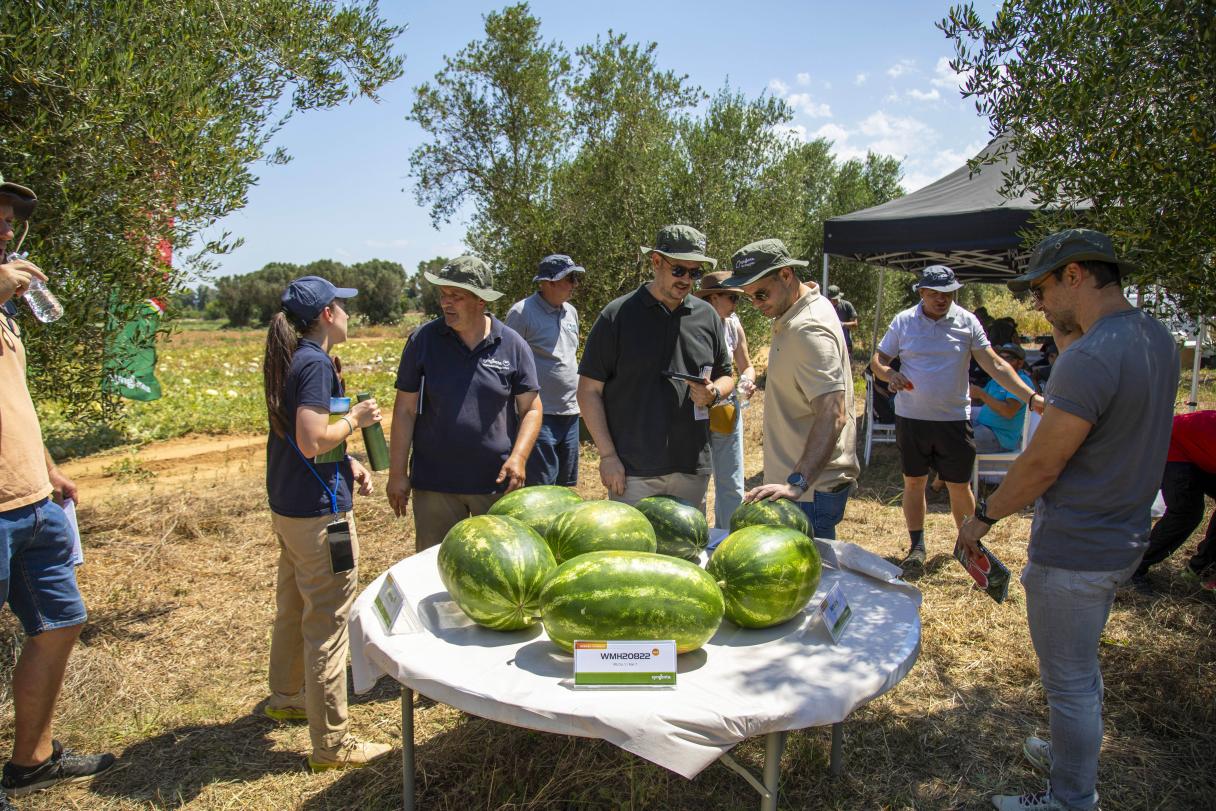 Group of people outdoors around a table with several large watermelons and a knife