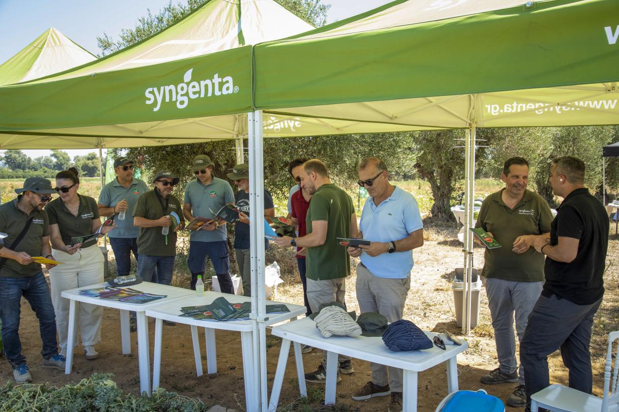 People gathered under green canopy tents, chatting around white tables outdoors