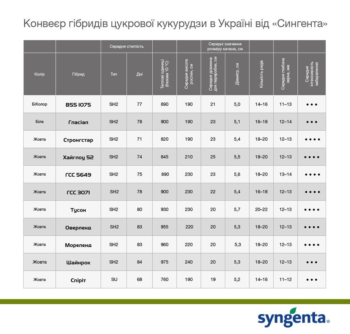 konveyer_tsukrovoyi_kukurudzy