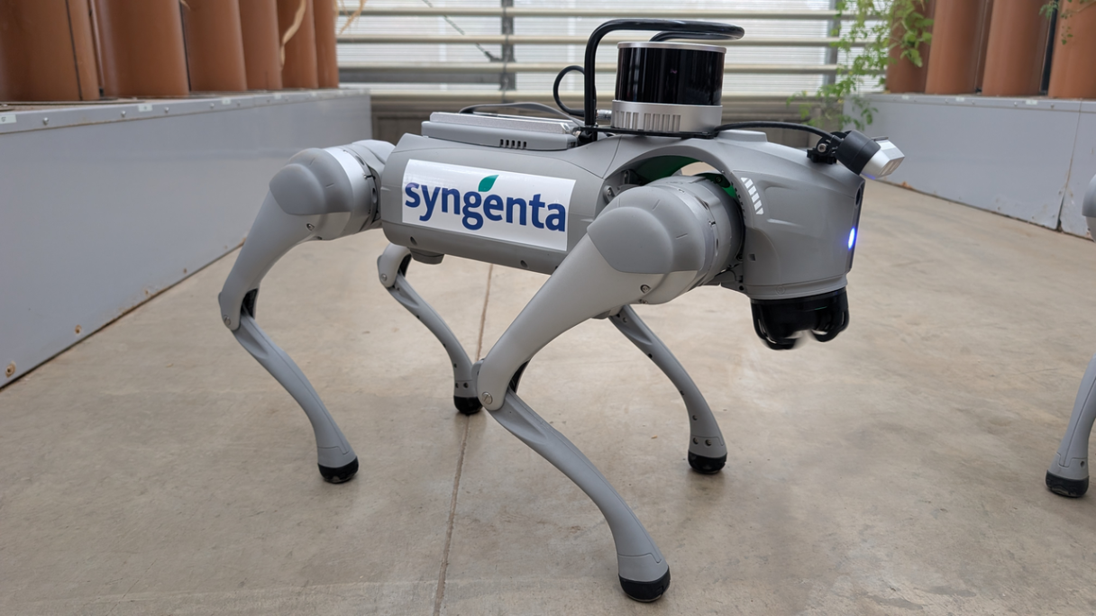 Robotic Dog