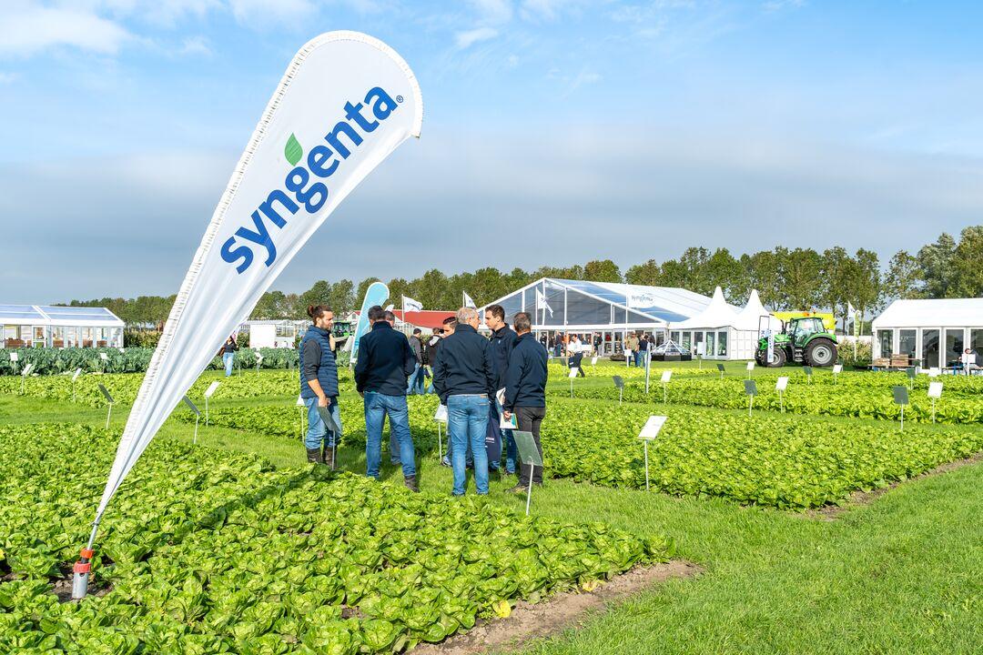 Syngenta flag at a crop field demo with a small group of people under a blue sky