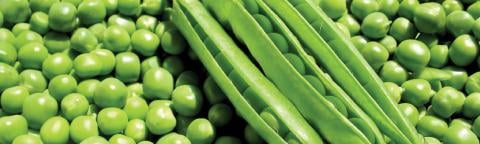 peas and beans hero