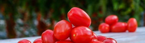 tomato_cherry