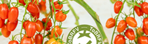 Prominent link image tomato