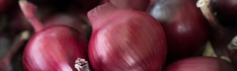 onion portfolio teaser