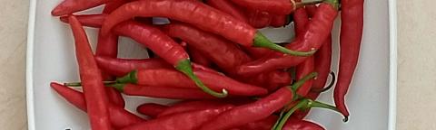 White bowl filled with red chili peppers on a light countertop