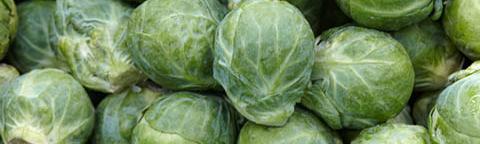 Pile of green cabbages with pale veins, close-up